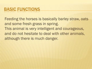 BASIC FUNCTIONS
Feeding the horses is basically barley straw, oats
and some fresh grass in spring.
This animal is very intelligent and courageous,
and do not hesitate to deal with other animals,
although there is much danger.
 