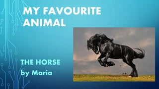 MY FAVOURITE
ANIMAL
THE HORSE
by Maria
 