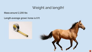 Weight and length!
Mass-around 2,200 lbs
Length-average grown horse is 8 ft
 
