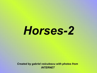 Horses-2 Created by gabriel voiculescu with photos from INTERNET 
