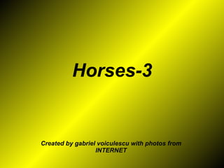 Horses-3 Created by gabriel voiculescu with photos from INTERNET 