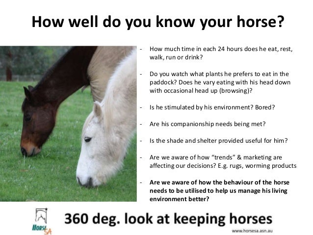 Horse Sa A 360 Degree Look At Horse Care