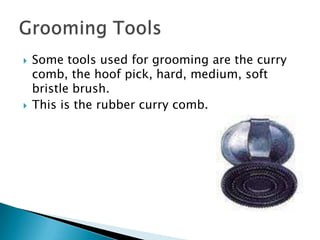 Some tools used for grooming are the curry comb, the hoof pick, hard, medium, soft bristle brush. This is the rubber curry comb.Grooming Tools