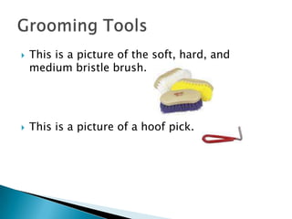 This is a picture of the soft, hard, and medium bristle brush. This is a picture of a hoof pick.Grooming Tools