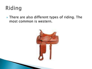 There are also different types of riding. The most common is western.Riding