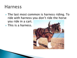 The last most common is harness riding. To ride with harness you don’t ride the horse you ride in a cart.This is a harness.Harness