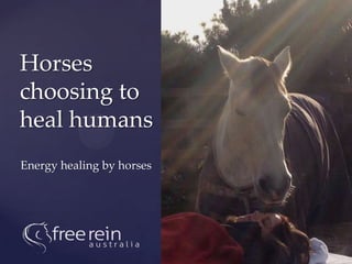 Horses
choosing to
heal humans
Energy healing by horses
 