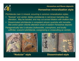 A new look at basement-hosted mineralization in the Horseshoe and Raven ...
