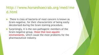 http://www.horseshoecrab.org/med/me
d.html
 There is class of bacteria of most concern is known as
Gram-negative, for their characteristic of being easily
decolorized during the Gram staining procedure.
 Surprisingly, it is the non-pathogenic members of the
Gram-negative group, those that love aquatic
environments, which cause the most problems for the
pharmaceutical industry.
 