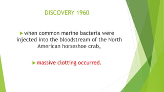 DISCOVERY 1960
 when common marine bacteria were
injected into the bloodstream of the North
American horseshoe crab,
 massive clotting occurred.
 