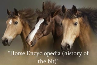 &quot;Horse Encyclopedia (history of the bit)&quot; 