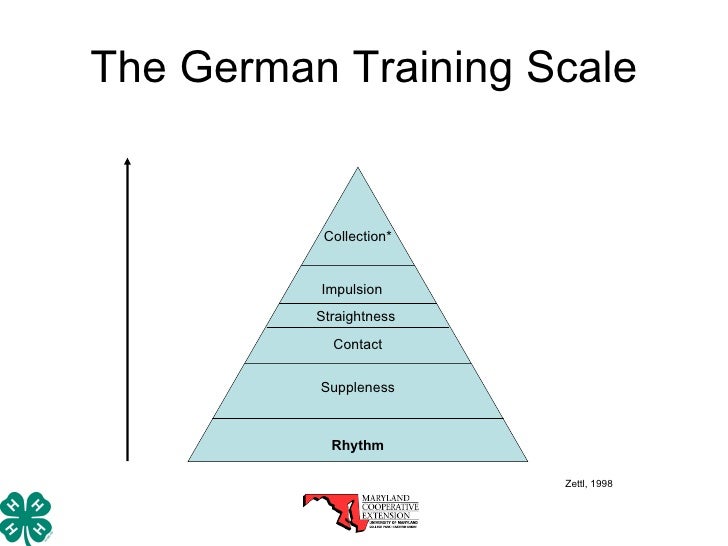 Horses & Music Tunes as a Training Tool