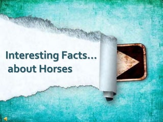 Interesting Facts…
about Horses
 