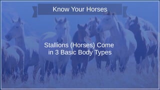 Know Your Horses
Stallions (Horses) Come
in 3 Basic Body Types
 