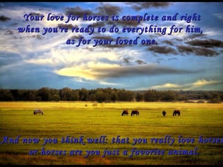 Your love for horses is complete and right when you're ready to do everything for him,  as for your loved one. And now you think well: that you really love horses,  or horses are you just a favorite animal.  