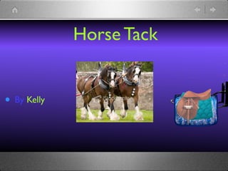 Horse Tack


• By Kelly
 