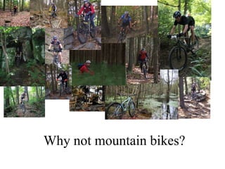Why not mountain bikes?
 