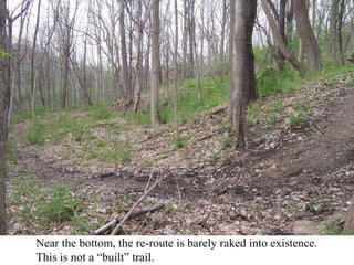 Near the bottom, the re-route is barely raked into existence.  This is not a “built” trail. 