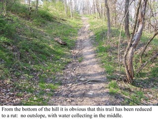 From the bottom of the hill it is obvious that this trail has been reduced to a rut:  no outslope, with water collecting in the middle. 
