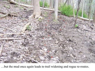 …but the mud once again leads to trail widening and rogue re-routes. 