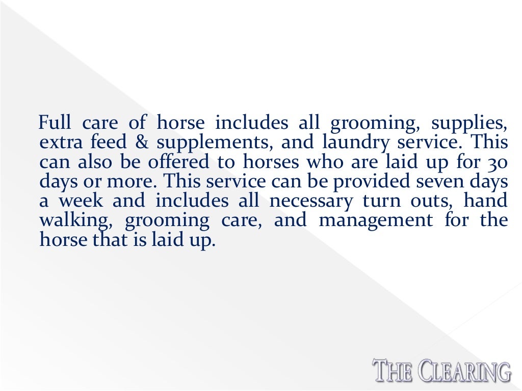 Horse training schools