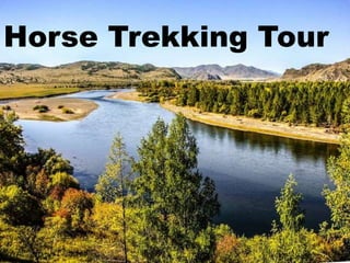 Horse Trekking Tour
 