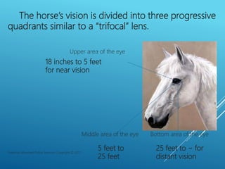 18 inches to 5 feet
for near vision
5 feet to
25 feet
25 feet to ~ for
distant vision
The horse’s vision is divided into t...