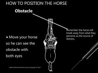 HOW TO POSITION THE HORSE
Move your horse
so he can see the
obstacle with
both eyes
National Mounted Police Services Copy...