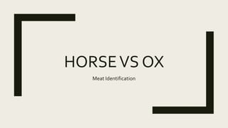HORSEVS OX
Meat Identification
 