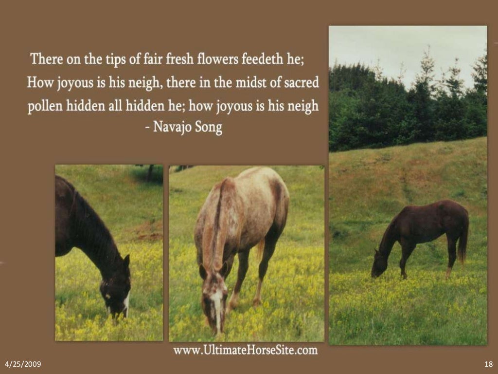 Horsey Quotes
