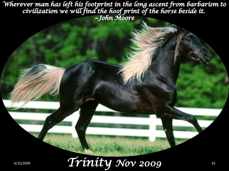 Horsey Quotes