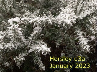 Horsley u3a
January 2023
 