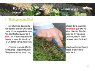 28 de gener de 2010 Els alumnes d’una altra    classe del c. superior han sortit a plantar unes cols   i  coliflors  que ens ha donat el conserge de l’escola,    el sr. Santos. També han sembrat un parell de fi-  leres de faves en un solc  i en el solc següent han   plantat pèsols, direc- tament a terra, fent un forat   amb el  punxó i ficant- -hi un parell o tres de llavors. Podrem veure la diferèn-   cia de creixement entre  les faveres i pesoleres plan-   tades al desembre  I les plantades un mes i mig    més  tard. Escola  del Mar   EL NOSTRE HORT  2009/10 