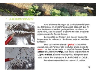 3 de febrer del 2010 Avui els nens de segon de c.inicial hem fet plan-   ter. Consisteix en preparar una safata especial, que té    uns forats en forma de iogurts petitons, omplir-los de    terra bona, i fer un foradet al centre de cada recipient i    posar un parell o tres de llavors.  Les safates les tindrem a la classe, perquè la    temperatura és més bona i les llavors estaran més ben    cuidades. Una classe hem plantat “ grelos ” i l’altra hem    plantat cols. Els “grelos” són les fulles d’una mena de    naps . Les llavors han estat un regal de l’escola  Santo    Estevo  del poble de  Parga , que està a la província de   Lugo  a  Galícia.  És una escola petita, d’un poble petit   amb la qual fem el projecte “ EL PATIO DE MI COLE”. Les dues menes de llavors són molt petites. 