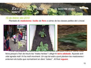 18 de febrer del 2010 Plantada de  maduixeres  i  bulbs  de  flors  a càrrec de les classes petites del c.inicial. Primer cal preparar les jardineres i els micro-hortets dels patis interiors. Dóna molta  feina perquè s’han de treure les “males herbes” i afegir-hi  terra adobada . Aquesta acti-  vitat agrada molt i hi ha molt moviment. Un cop tot està a punt plantem les maduixeres i  enterrem els bulbs que normalment en diem “cebes” . Al final  reguem . Escola  del Mar   EL NOSTRE HORT  2009/10 