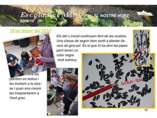 18 de febrer del 2010 Els del c.inicial continuem fent de les nostres. Una classe de segon hem sortit a plantar lla- vors de gira-sol. És el que hi ha dins les pipes però tenen un  color negre   molt estrany.   Ara les  plantem en testos i les tindrem a la clas- se i quan ens creixin  les trasplantarem a  l’hort gran. Escola  del Mar   EL NOSTRE HORT  2009/10 