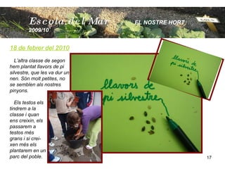 Escola  del Mar   EL NOSTRE HORT  2009/10 18 de febrer del 2010 L’altra classe de segon hem plantat llavors de pi silvestre, que les va dur un nen. Són molt petites, no  se semblen als nostres pinyons. Els testos els tindrem a la classe i quan ens creixin, els passarem a  testos més  grans i si crei- xen més els  plantarem en un parc del poble. 