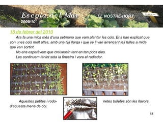 18 de febrer del 2010 Ara fa una mica més d’una setmana que vam plantar les cols. Ens han explicat que  són unes cols molt altes, amb una tija llarga i que se li van arrencant les fulles a mida  que van sortint. No ens esperàvem que creixessin tant en tan pocs dies. Les continuem tenint sota la finestra i vora el radiador. Aquestes petites i rodo-  netes boletes són les llavors d’aquesta mena de col. Escola  del Mar   EL NOSTRE HORT  2009/10 