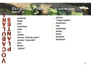 avellaner bleda bulb carabassa ceba col coliflor enciam “fulla de roure” enciam “maravilla” fava favera “ grelos” julivert  “ males herbes” maduixera nap pastanaga patata pèsol pesolera tomàquet  Escola  del Mar   EL NOSTRE HORT  2009/10 PLANTES VOCABULARI 