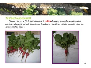 Escola del Mar               EL NOSTRE HORT 2009/10



13 d’abril (continuació)
    Els companys de 5è B han començat la collita de raves. Aquesta vegada no els
portaran a la cuina perquè no arriben a la dotzena i s’estimen més fer una rifa entre els
que han fet de pagès.




                                                                                            35
 