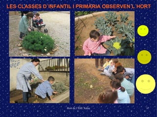 LES CLASSES D´INFANTIL I PRIMÀRIA OBSERVEN L´HORT 