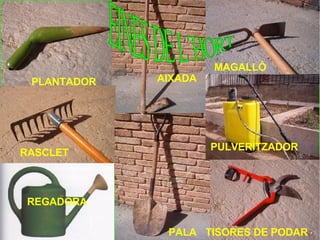 REGADORA PLANTADOR RASCLET PALA AIXADA PULVERITZADOR TISORES DE PODAR MAGALLÓ EINES DE L´HORT 