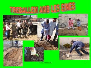 TREBALLEM AMB LES  EINES 