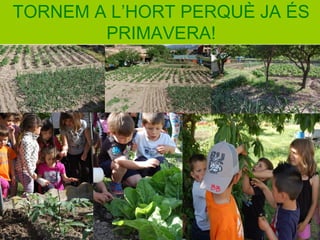 TORNEM A L’HORT PERQUÈ JA ÉS
PRIMAVERA!
 