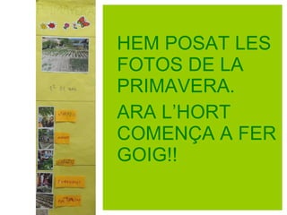 HEM POSAT LES
FOTOS DE LA
PRIMAVERA.
ARA L’HORT
COMENÇA A FER
GOIG!!
 