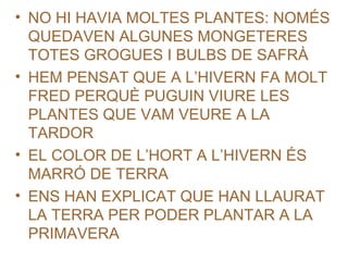• NO HI HAVIA MOLTES PLANTES: NOMÉS
QUEDAVEN ALGUNES MONGETERES
TOTES GROGUES I BULBS DE SAFRÀ
• HEM PENSAT QUE A L’HIVERN FA MOLT
FRED PERQUÈ PUGUIN VIURE LES
PLANTES QUE VAM VEURE A LA
TARDOR
• EL COLOR DE L’HORT A L’HIVERN ÉS
MARRÓ DE TERRA
• ENS HAN EXPLICAT QUE HAN LLAURAT
LA TERRA PER PODER PLANTAR A LA
PRIMAVERA
 