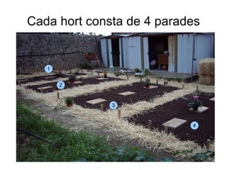 Cada hort consta de 4 parades 