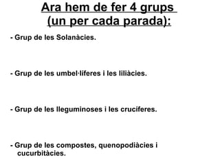 Ara hem de fer 4 grups  (un per cada parada): - Grup de les  Solanàcies. - Grup de les umbel·líferes i les liliàcies. - Grup de les lleguminoses i les crucíferes. - Grup de les compostes, quenopodiàcies i cucurbitàcies. 