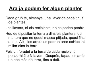 Ara ja podem fer algun planter Cada grup té, almenys, una llavor de cada tipus de plantes.  