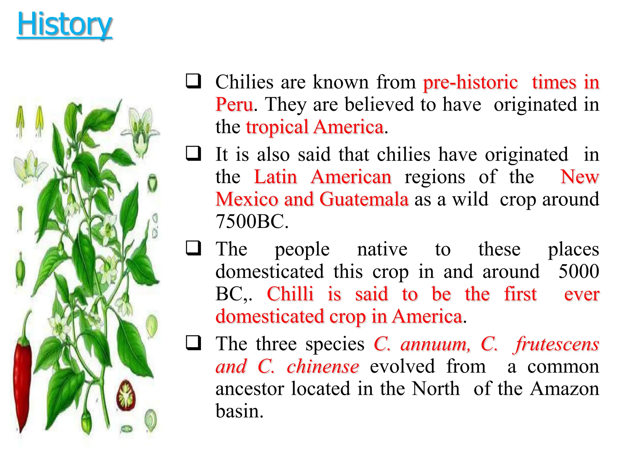  Chilies are known from pre-historic times in
Peru. They are believed to have originated in
the tropical America.
 It is also said that chilies have originated in
the Latin American regions of the New
Mexico and Guatemala as a wild crop around
7500BC.
 The people native to these places
domesticated this crop in and around 5000
BC,. Chilli is said to be the first ever
domesticated crop in America.
 The three species C. annuum, C. frutescens
and C. chinense evolved from a common
ancestor located in the North of the Amazon
basin.
History
 